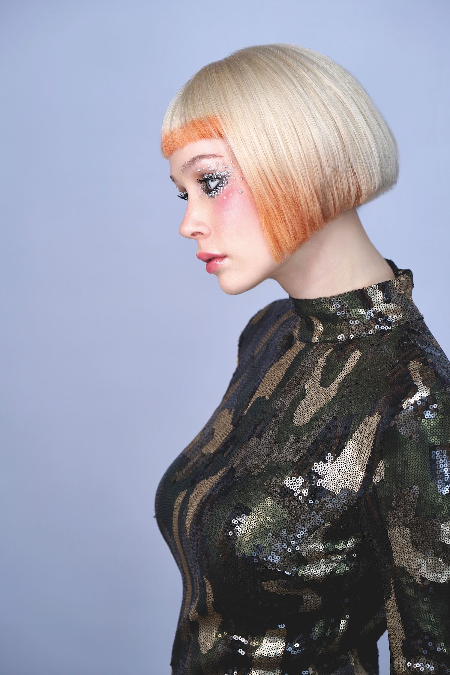 Immagine illustrativa per la sezione Categorie