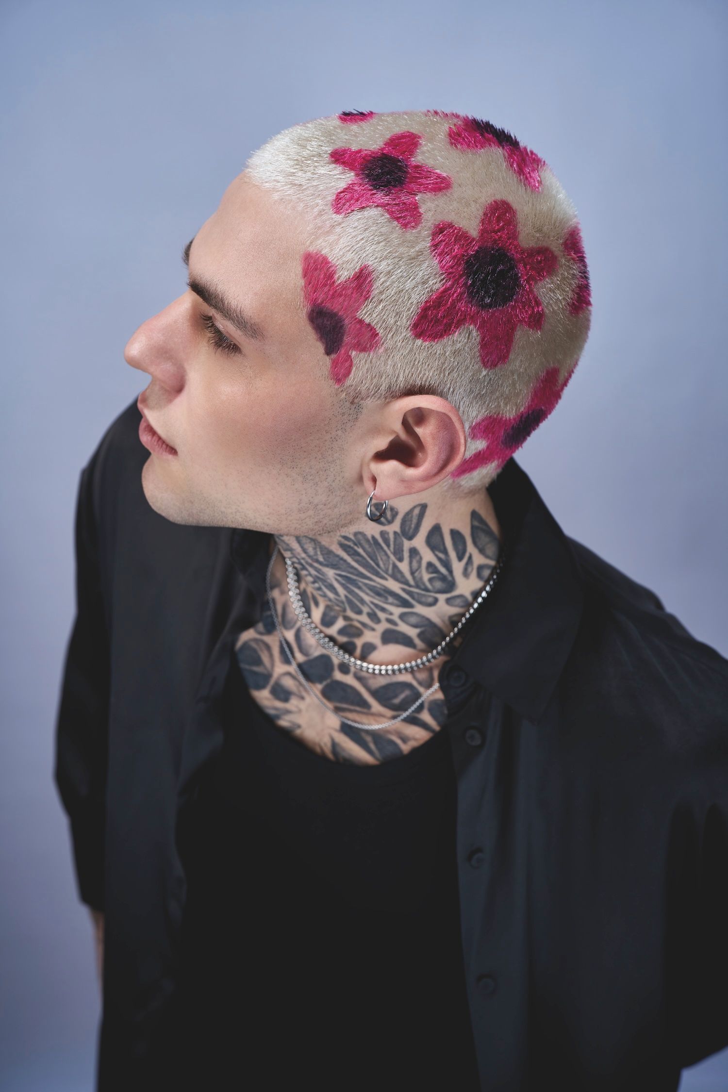 Immagine illustrativa per la sezione Categorie