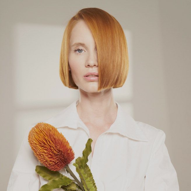 Immagine illustrativa per la sezione Categorie