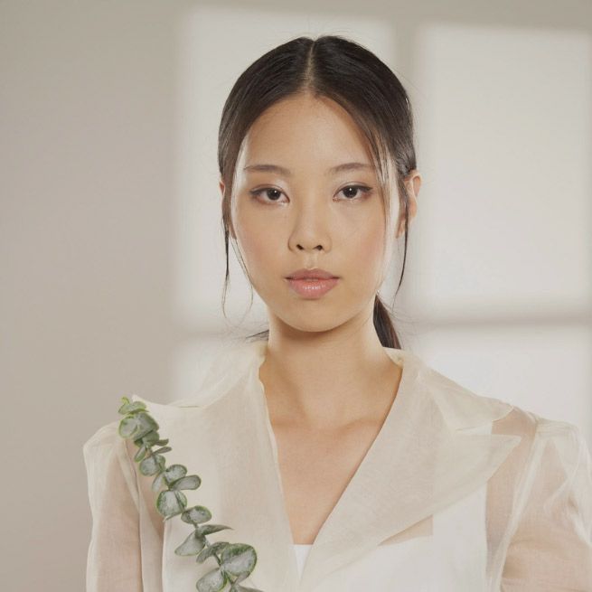 Immagine illustrativa per la sezione Categorie